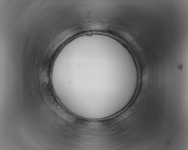 X0000116511209200912231226