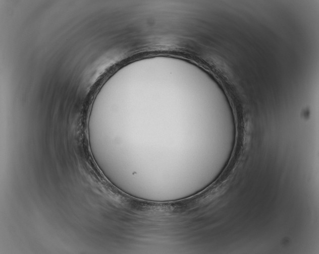 X0000116511210200912231226