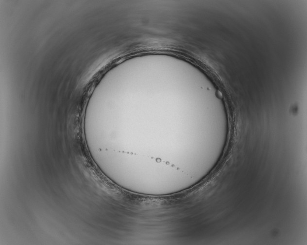 X0000116511211200912231226