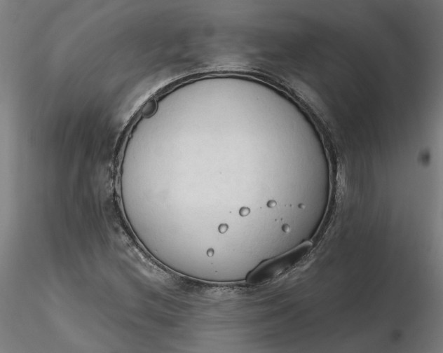 X0000116511212200912231226