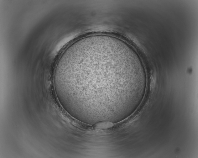 X0000116511213200912231226