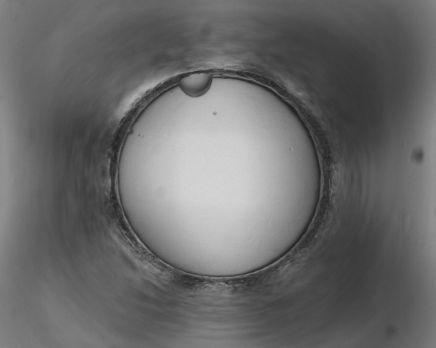 X0000116511214200912231226