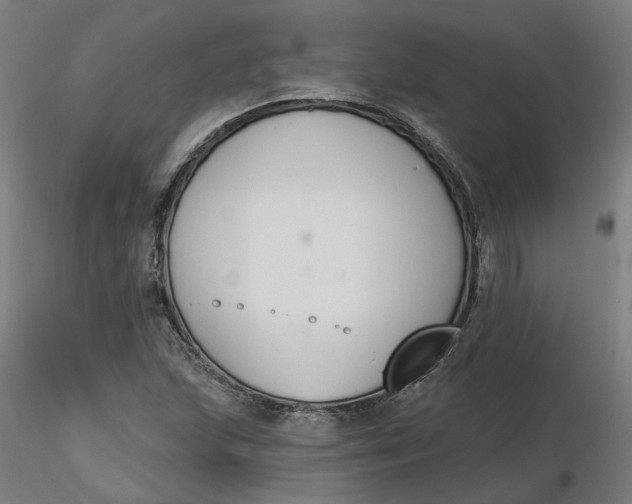 X0000116511215200912231226