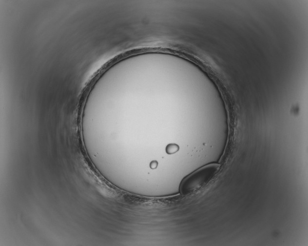 X0000116511216200912231226