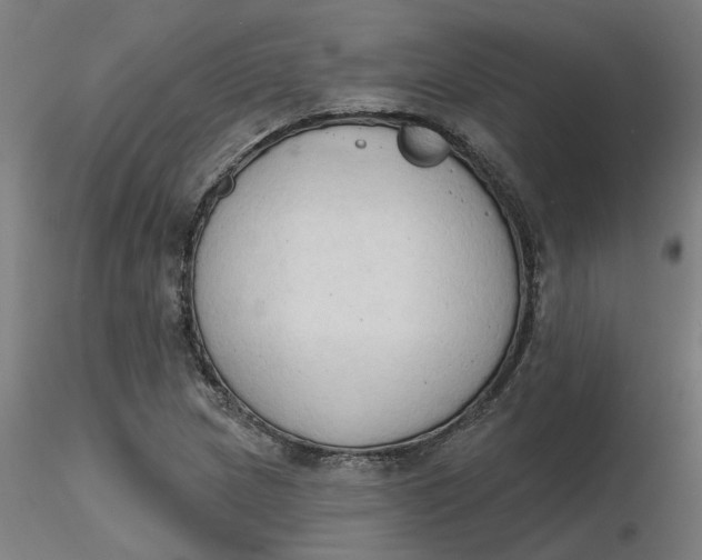 X0000116511217200912231226