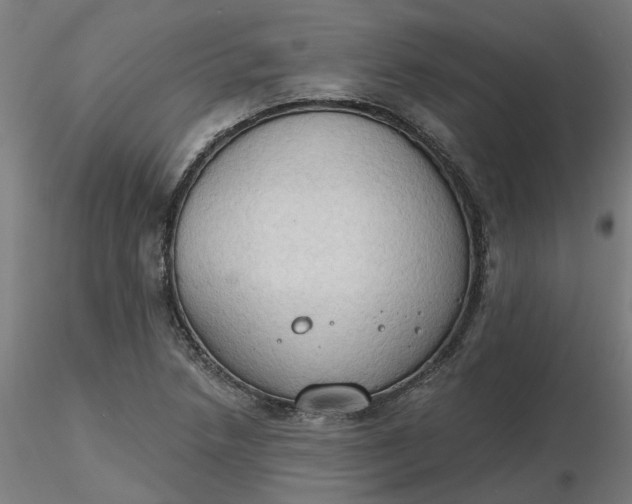 X0000116511218200912231226