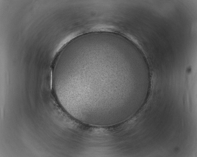 X0000116511219200912231226