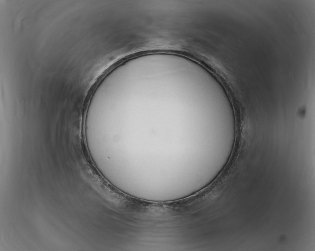 X0000116511220200912231226