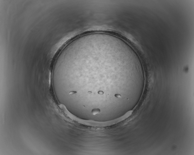 X0000116511221200912231226