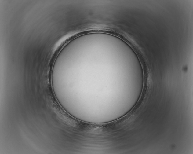 X0000116511222200912231226