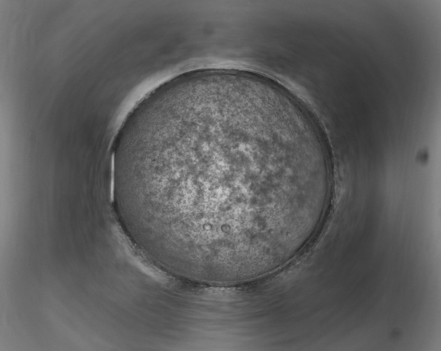 X0000116511223200912231226