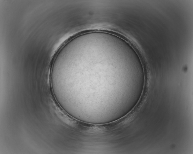 X0000116511224200912231226