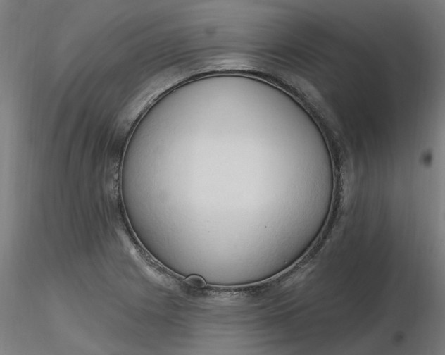 X0000116511225200912231226