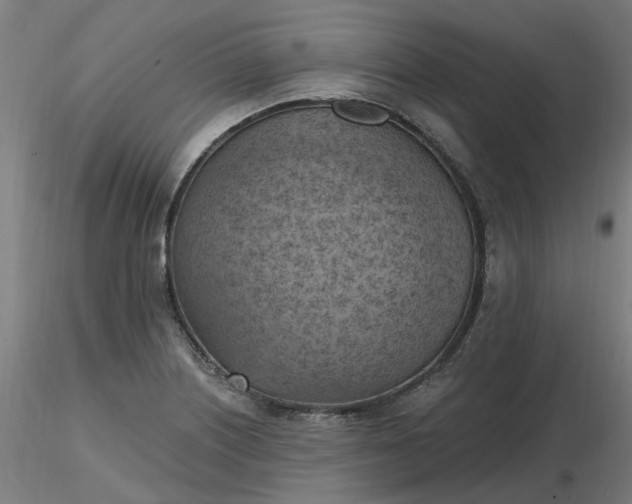 X0000116511226200912231226