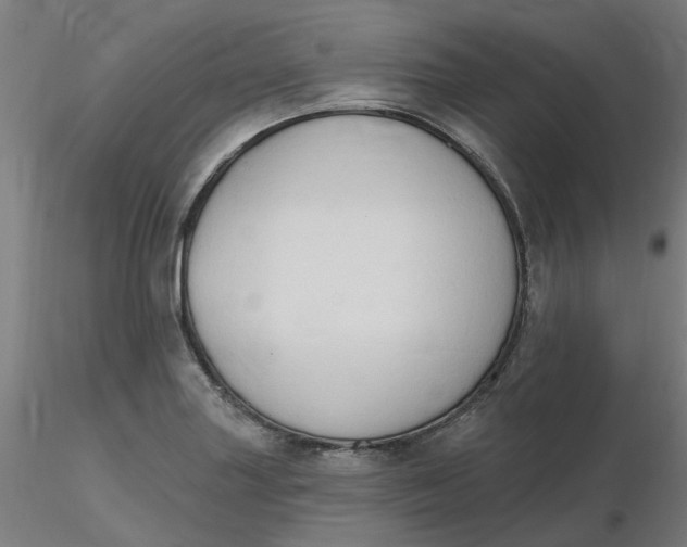 X0000116511227200912231226