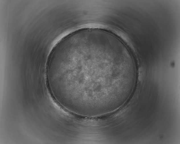 X0000116511229200912231226