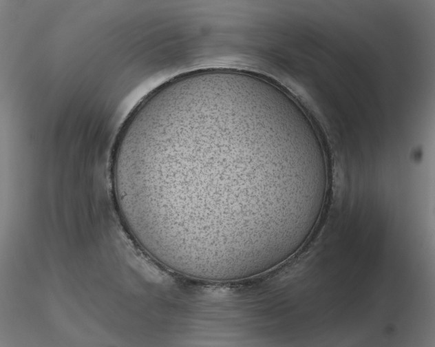 X0000116511230200912231226