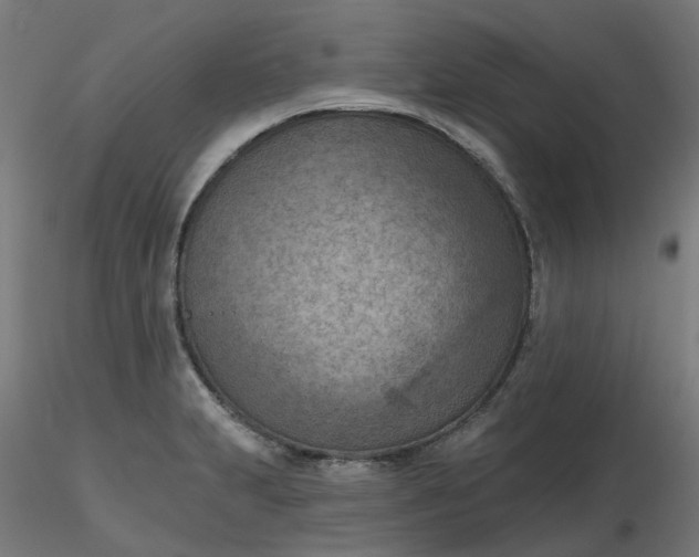 X0000116511231200912231226