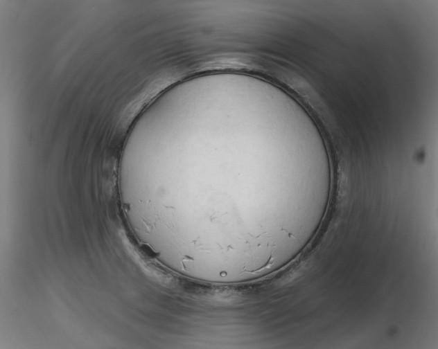 X0000116511233200912231226