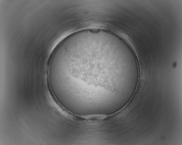 X0000116511235200912231226