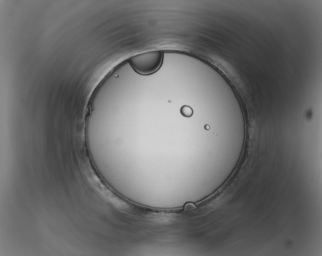 X0000116511236200912231226