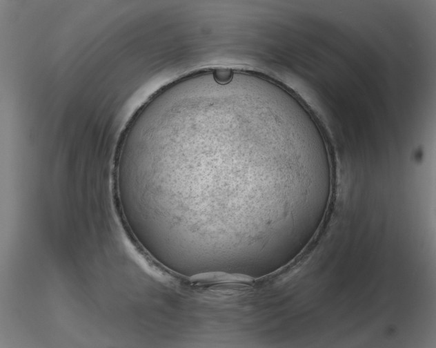 X0000116511237200912231226