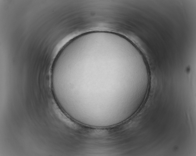 X0000116511238200912231226