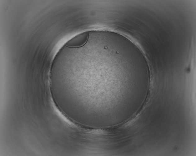 X0000116511239200912231226