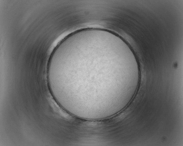 X0000116511240200912231227