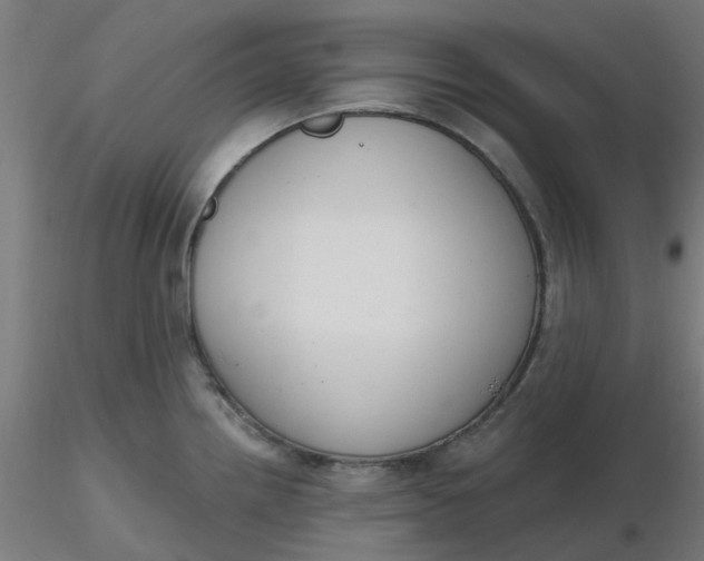 X0000116511242200912231227