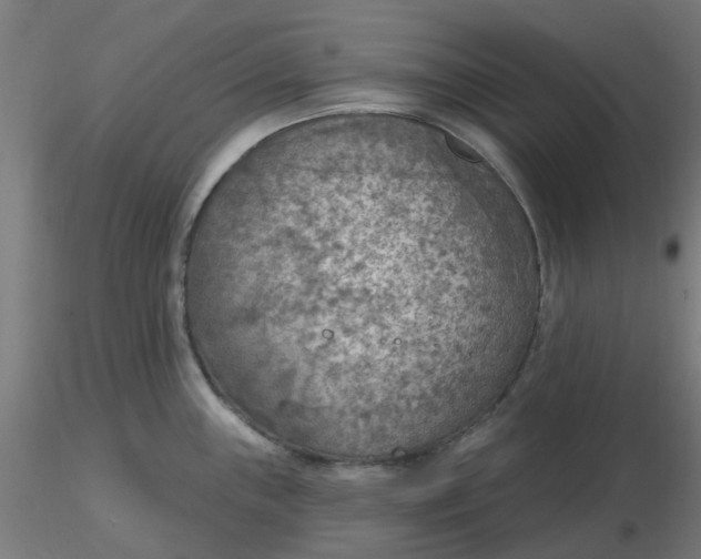 X0000116511243200912231227