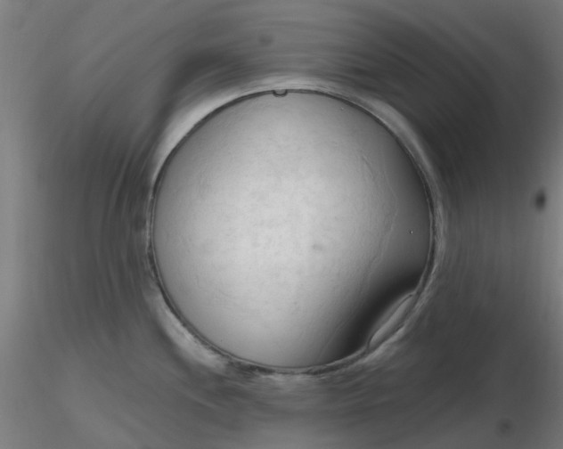 X0000116511244200912231227