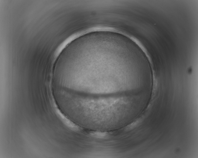 X0000116511245200912231227