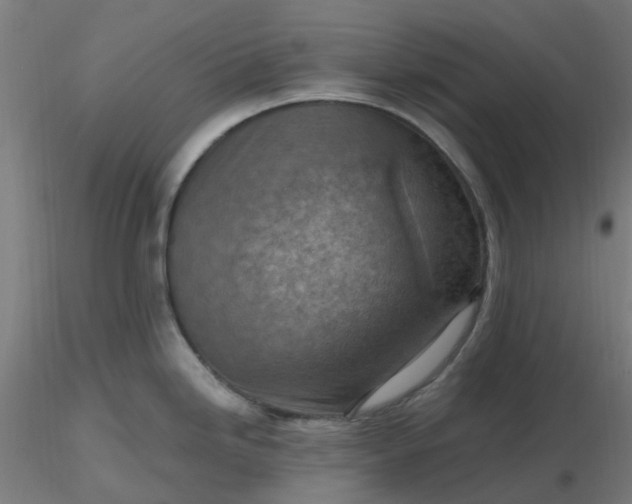 X0000116511246200912231227