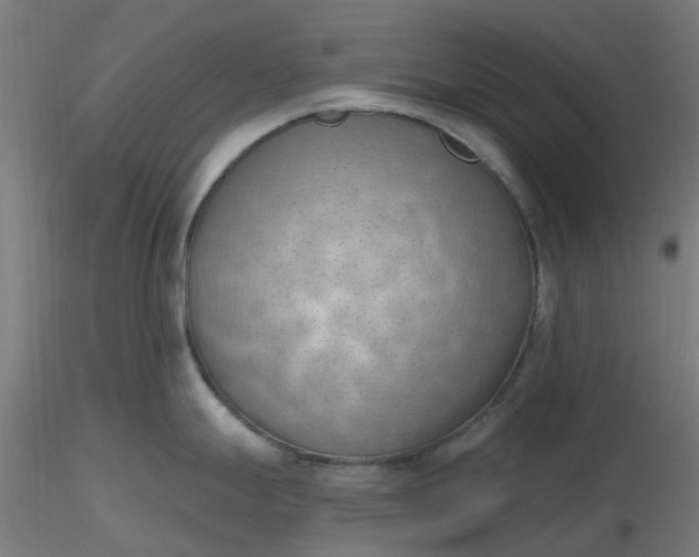 X0000116511247200912231227