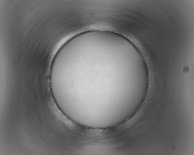 X0000116511248200912231227