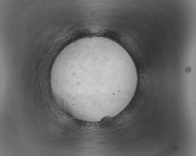 X0000116511249200912231226