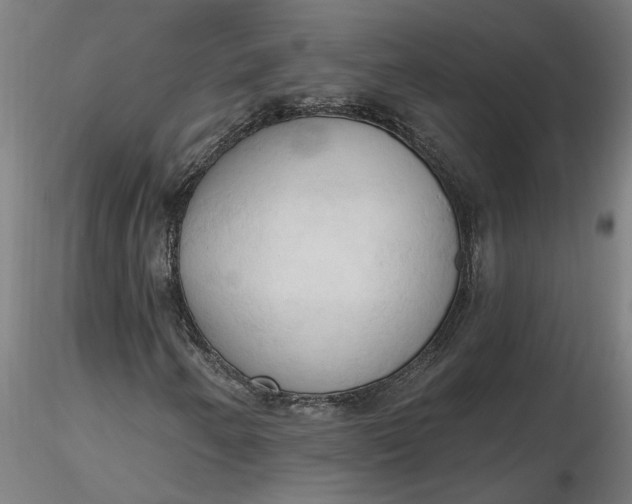 X0000116511250200912231226