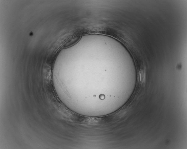 X0000116511251200912231226