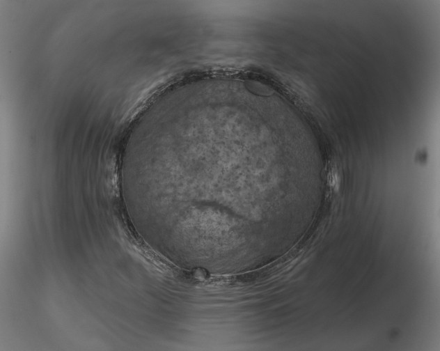 X0000116511252200912231226