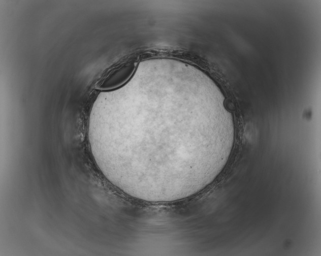 X0000116511253200912231226