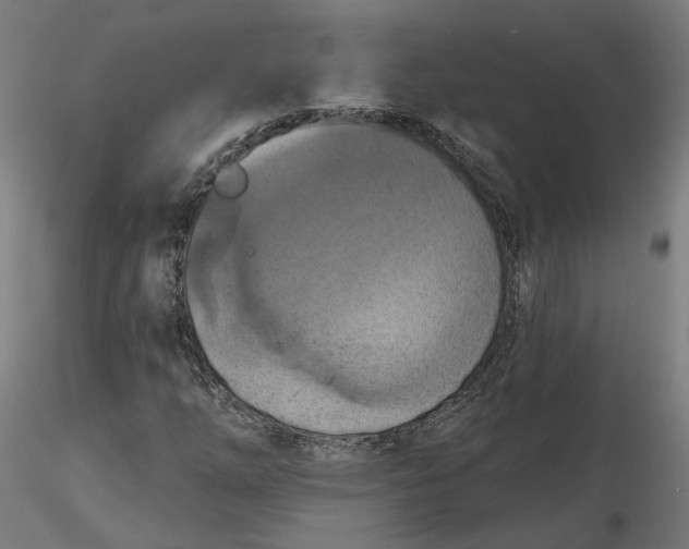 X0000116511254200912231226