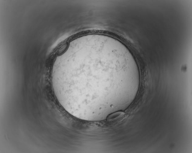 X0000116511255200912231226