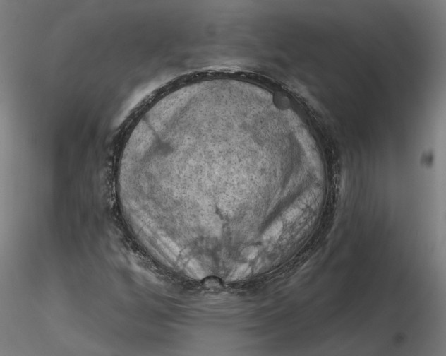 X0000116511256200912231226