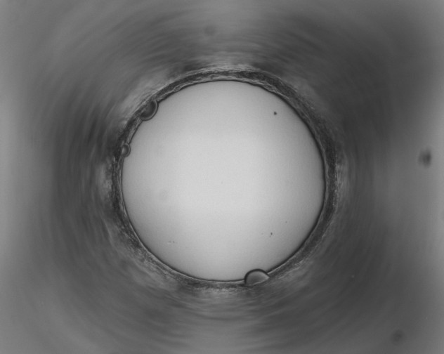 X0000116511257200912231226