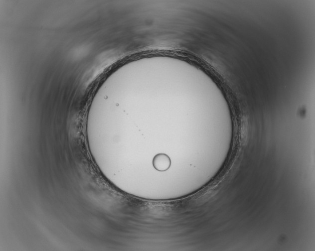 X0000116511258200912231226