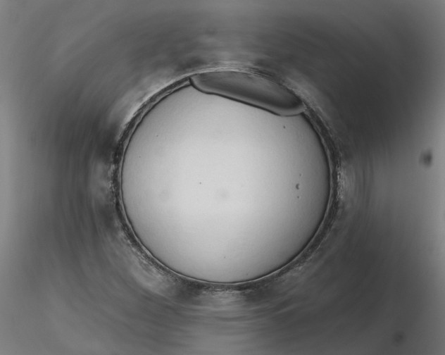 X0000116511260200912231226