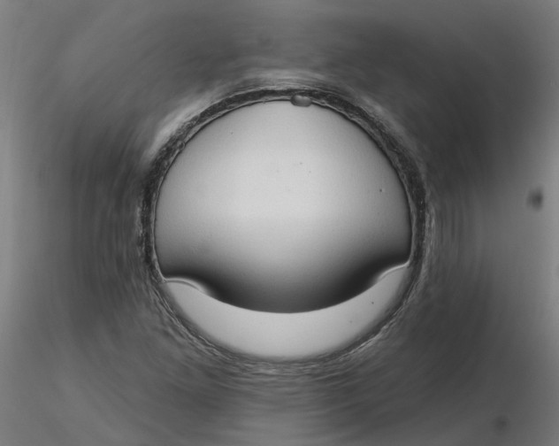 X0000116511261200912231226