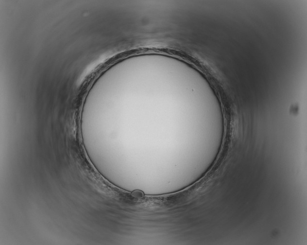 X0000116511262200912231226