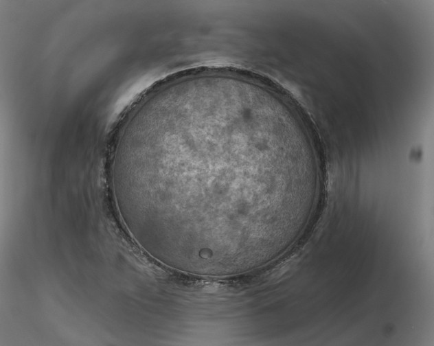 X0000116511263200912231226